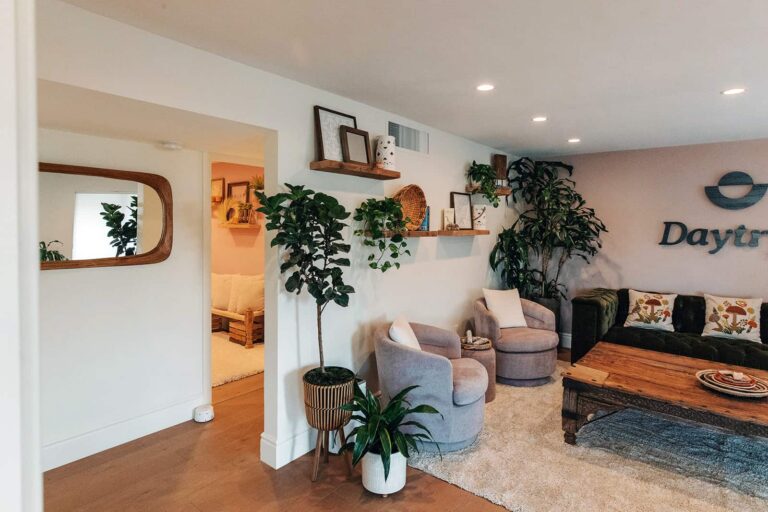 Comfortable therapy lounge with plants, armchairs, and Daytryp logo.